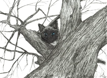 Appelboom Baby, 2015