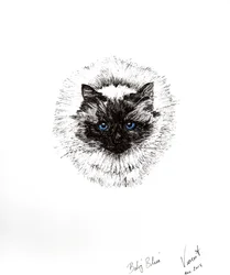 Babybal, 2015