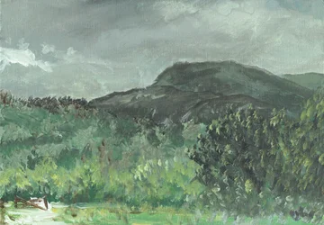 Heuvels bij Creag Dhugh, 2006