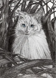 Jungle Monty, 2015