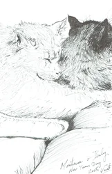 Montwee en Baby Nieuwjaar 2005, 2005