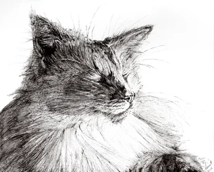Monty gezellige jongen, 2015