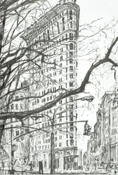 New York Flat Iron Gebouw
