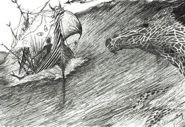 Stormscheppers Atlantische Oceaan, 2012