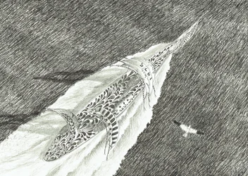 Stormscheppers Kaap Canaveral, 2022