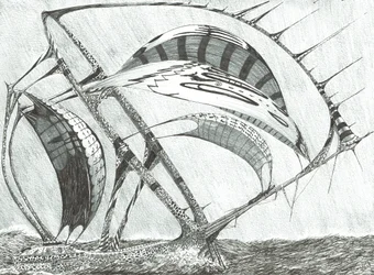 Storm Scheppers Laptev Zee