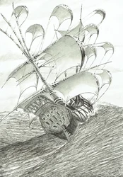 Stormscheppers Zhaoyang Hu