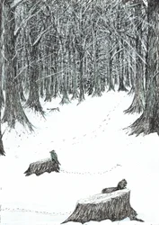 pagina5, Het Kasteel in het Bos van Findhorn, 2006