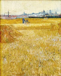 Arles: uitzicht vanaf de tarwevelden - De maaiers, 1888