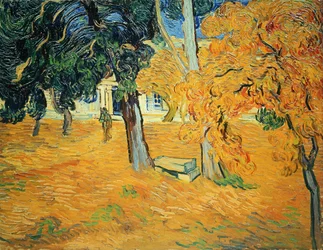 Tuin in het Sint-Paulusziekenhuis in Saint-Rémy, 1889