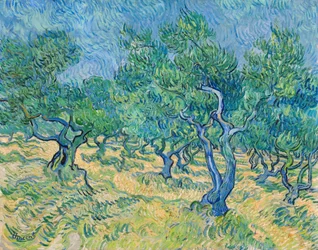 Olijfboomgaard, 1889