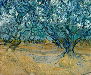 De olijfboomgaard, Saint-Rémy, 1889