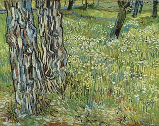 Boomstammen in het gras