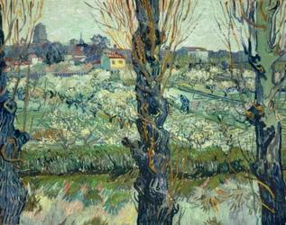 Uitzicht op Arles