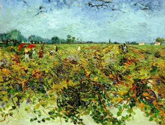 De groene wijngaard