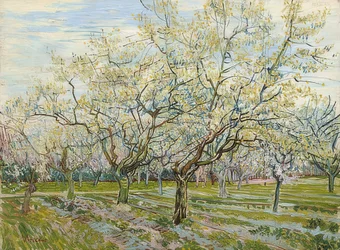 De witte boomgaard, 1888
