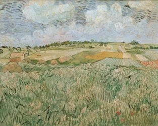 De vlakte bij Auvers met regenwolken