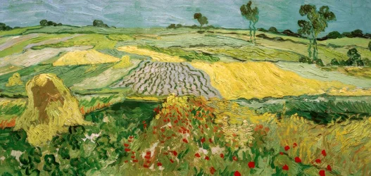 De vlakte van Auvers