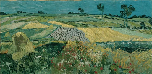 De Vlakte van Auvers