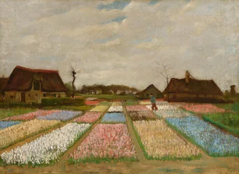 Bloemperken in Holland