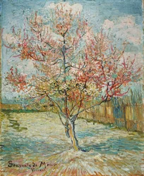 Bloeiende perzikboom