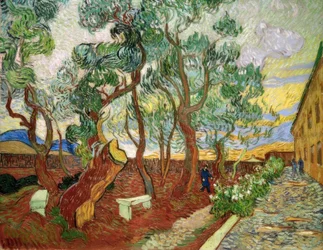 Tuin van het ziekenhuis Saint-Paul