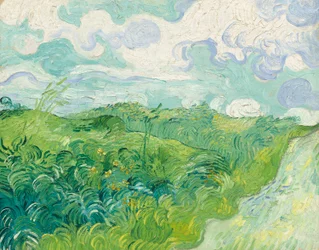 Groene Tarwevelden, Auvers