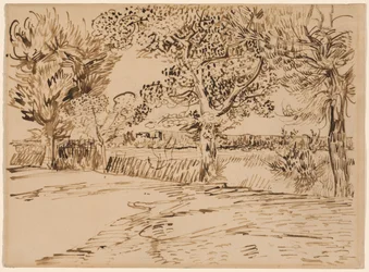 Landschap bij Arles