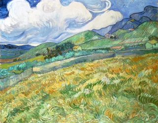 Landschap van Saint-Remy