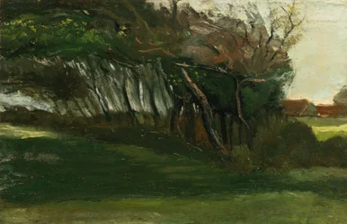 Landschap met windgeblazen bomen, ca. 1883-84
