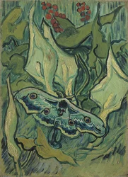 De grote groene pauwoogvlinder (doodshoofdpijlstaart) - Schilderij van Vincent van Gogh (1853-1890)