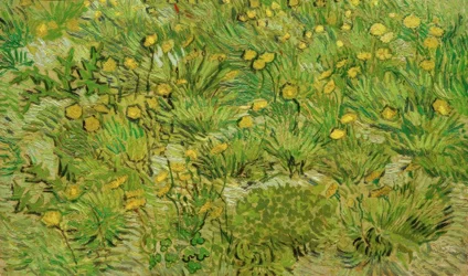 De paardenbloemen