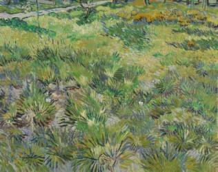 Lang gras met vlinders