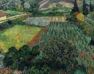 Klaprozenveld