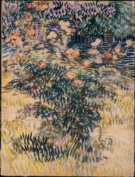 Oleanders, de ziekenhuis tuin bij Saint-Remy, 1889