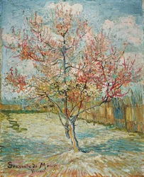 Pink peach trees (Souvenir de Mauve)