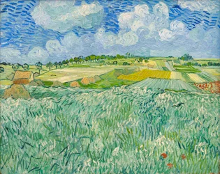 Vlakte bij Auvers
