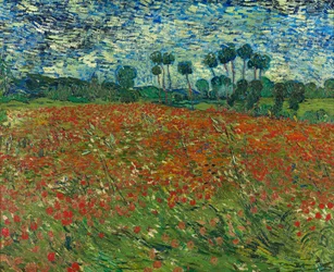 Klaprozenveld