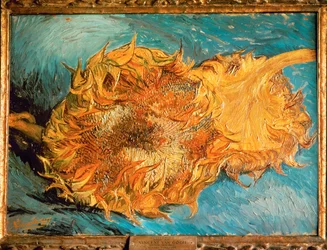 Zonnebloemen (schilderij op canvas)