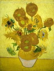 Zonnebloemen