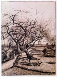 De pastorie tuin in Nuenen in de winter (1884)
