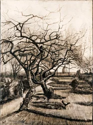 De pastorietuin in Nuenen in de winter