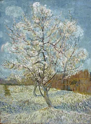 De roze perzikboom