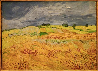 De vlakte van Auvers