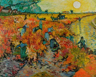 De rode wijngaard - Rode wijngaard bij Arles (Montmajour)