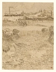 Uitzicht vanaf de korenvelden
