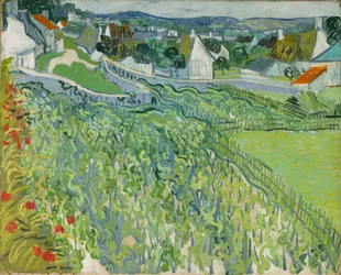 Wijngaarden in Auvers