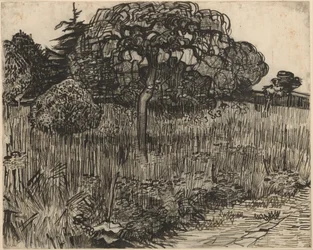 Treurboom