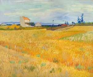 Tarweveld, 1888