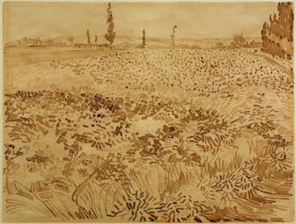 Tarweveld